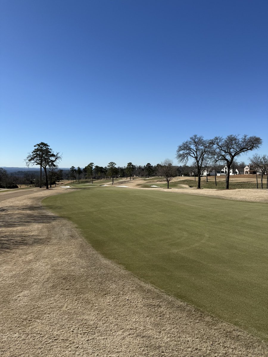 Fairways are greening up 💚