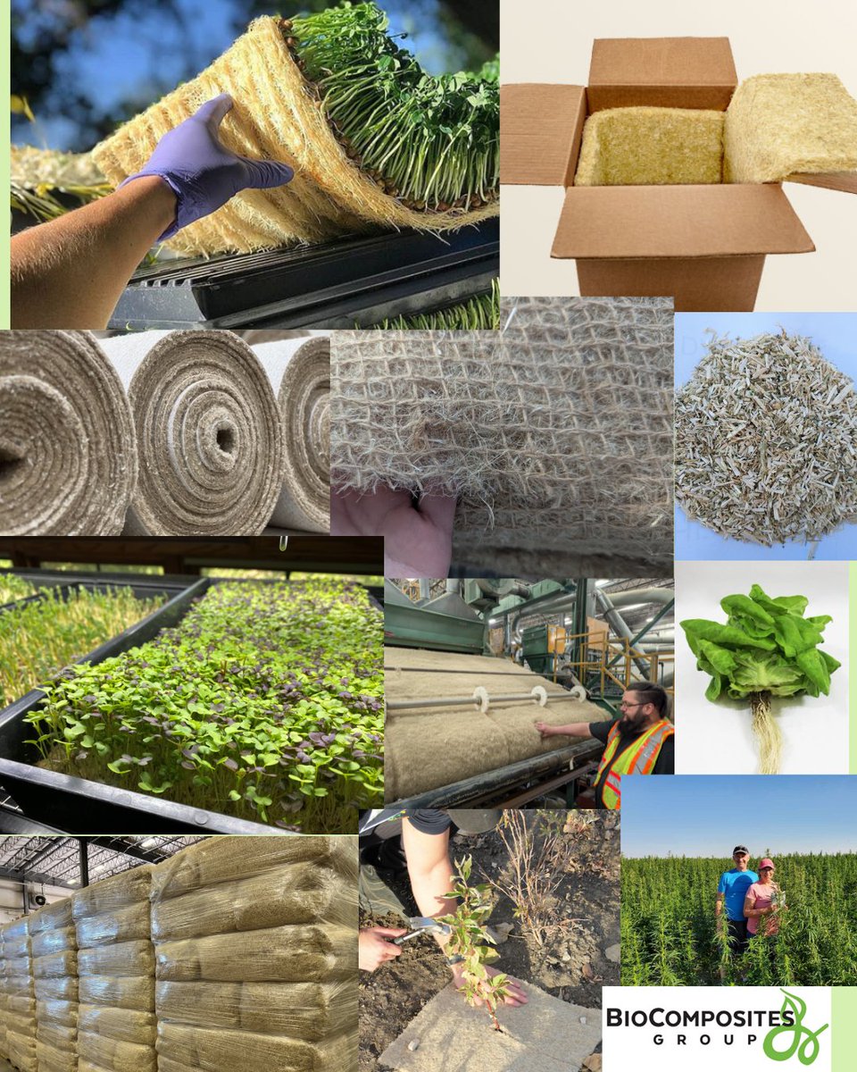 Transform your garden for summer with Terrafibre hemp gardening products! Our compostable hemp products give your plants a strong, weed-free start and break down naturally—no plastic, no fuss. Rooted in sustainability. 🌻 #Hemp #EcoGardening #terrafibre