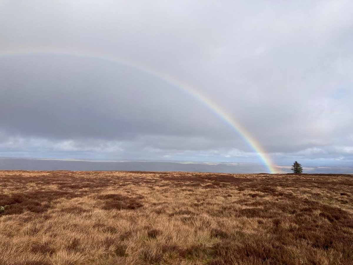Yorkshire Peat Partnership - follow us on Bluesky (@ypp_peat) on Twitter photo It's been a strange old week in the #GreatNorthBog - one minute it's snowing horizontally and the next minute it's this. Still, could be worse, could be raining. No, wait, it *did* rain. Still, curlews are back so it *must* be spring... It's been a strange old week in the #GreatNorthBog - one minute it's snowing horizontally and the next minute it's this. Still, could be worse, could be raining. No, wait, it *did* rain. Still, curlews are back so it *must* be spring...