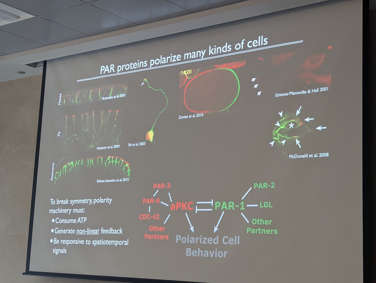 Texas BME tweet media