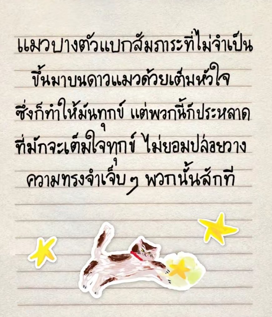 PSpublish's tweet photo. 🐈จากหนังสือจดหมายจากดาวแมว https://t.co/hieAyrzRX2