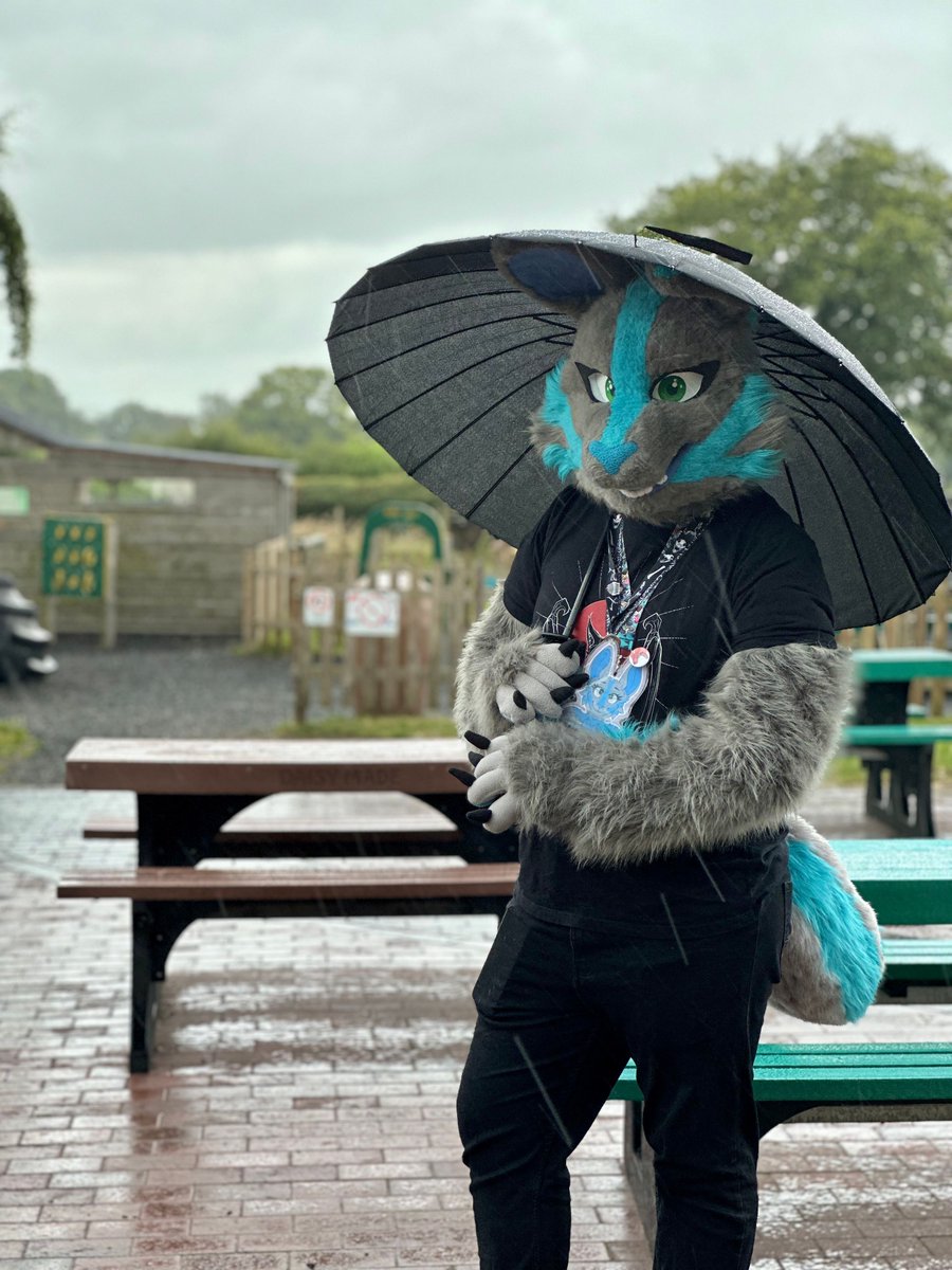 LincolnFursUK's tweet image. Rain or shine, our meets are always a blast! 🌧️ Vanilla (@vanilla18658260) had the right idea bringing a parasol to our Daisy Made meet last summer.

📷: @revie_rae
#LincsFurs #Furry #Furmeet #FurryFandom #FursuitFriday