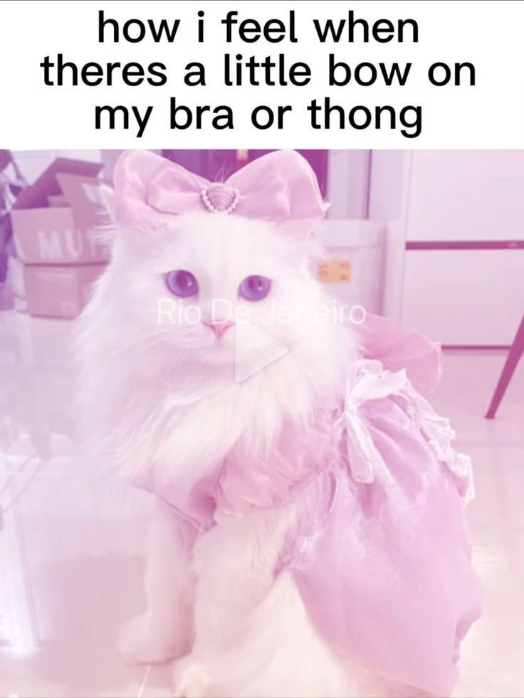 mk ♥︎₊˚かわいいお店 (@mk_kawaii_store) on Twitter photo 