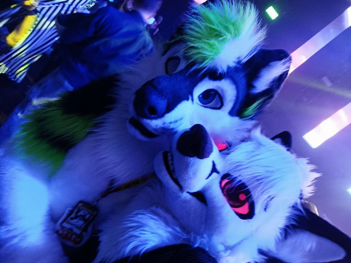 FuzzyCodec's tweet image. Had a blast at #NFC2025 this year. Made a lot of new friends and had good times with old friends! Got a lot of energy back until I see all the fluffers at the next con :3 #furry #fursuit #fursuiter #FursuitFriday #NordicFuzzCon
🦊: Wyle
🐺: @puppycatmello