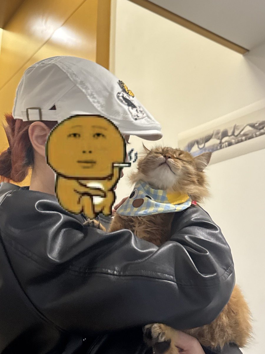 全世界最可爱的咪咪-angelabobby