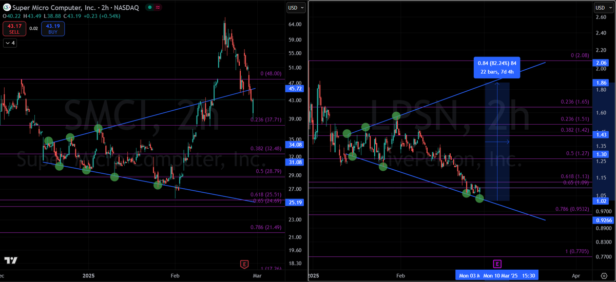 TheFreshWalrus tweet media