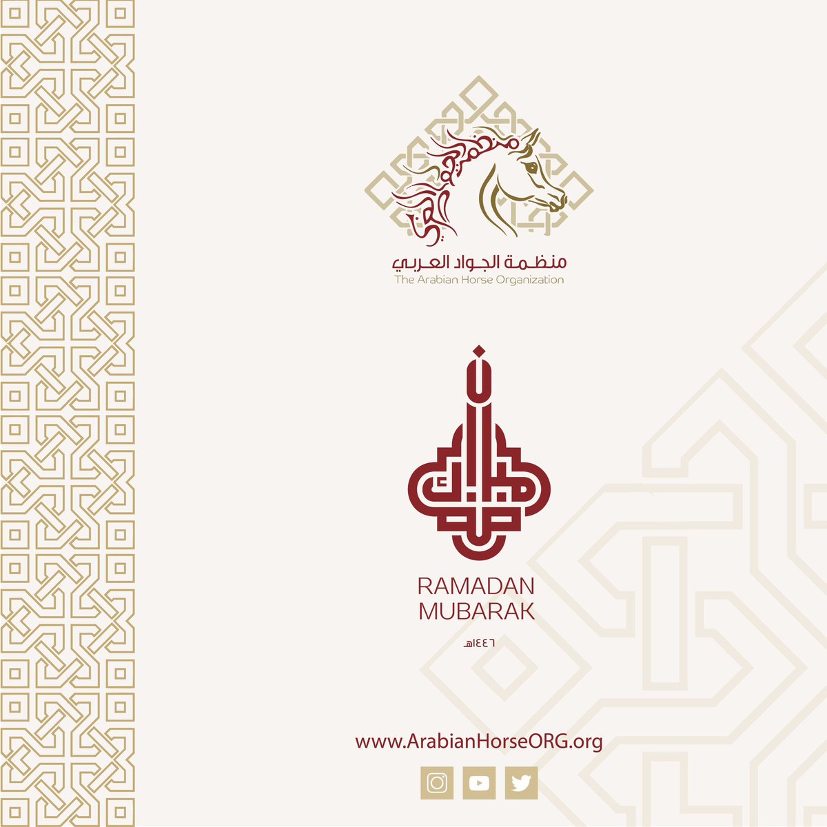 منظمة الجواد العربي (@arabianhorseorg) on Twitter photo 