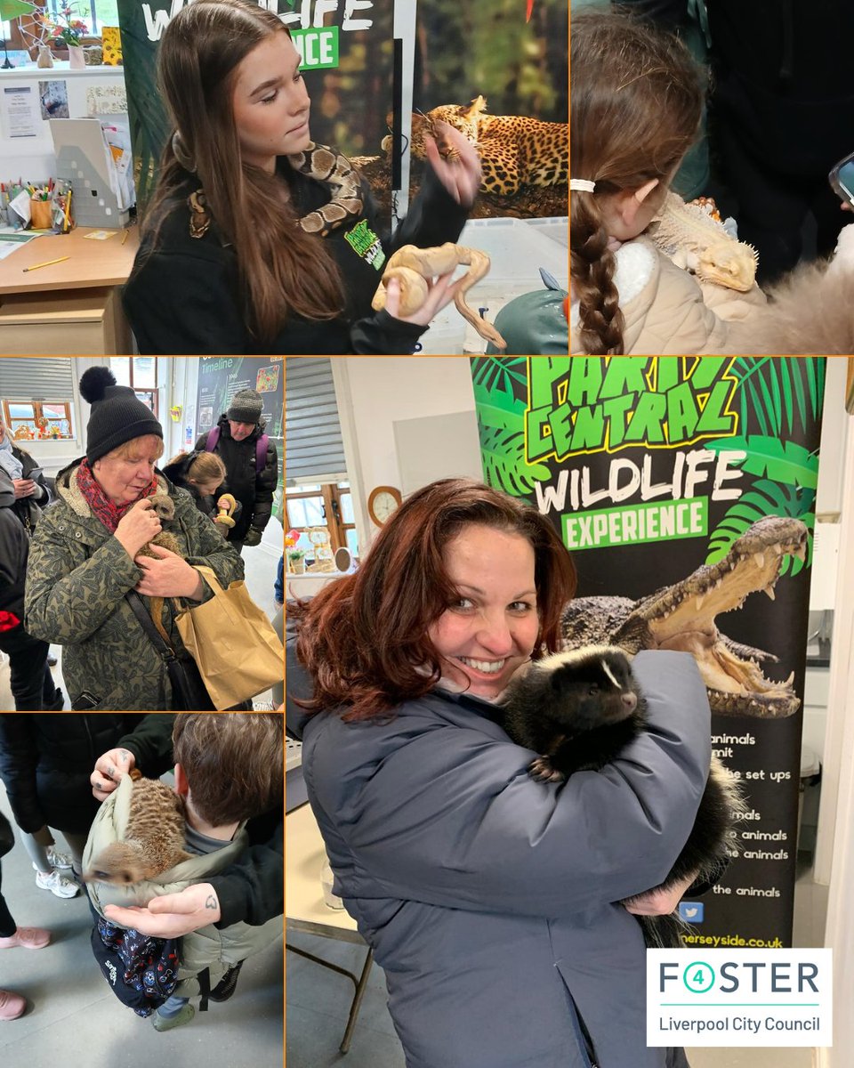Liverpool City Council Fostering Service (@lpoolfostering) on Twitter photo 🌟Our Mockingbird Constellation ‘Orion’ is up to amazing things!
6 foster families took a trip to Party Central Wildlife Experience🐍
“David & I avoided the snakes… but Steph & the kids loved it! One young person got sprayed by a skunk & is still trying to get the smell out!”😆 🌟Our Mockingbird Constellation ‘Orion’ is up to amazing things!
6 foster families took a trip to Party Central Wildlife Experience🐍
“David & I avoided the snakes… but Steph & the kids loved it! One young person got sprayed by a skunk & is still trying to get the smell out!”😆