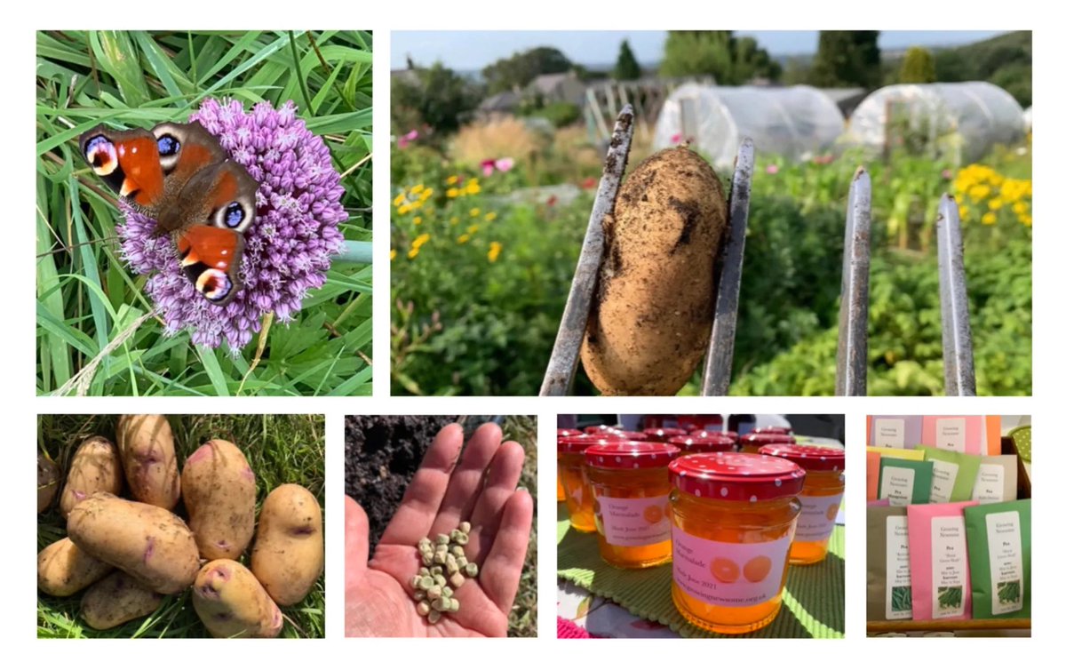 Huddersfield Potato Day and Seed Swap is this Saturday. Seed potatoes, onions &amp; veg seeds. Stalls &amp; activities. Local food on sale. Refreshments &amp; a hot lunch.

📅 Sat 1st March
⏰ 10am-1pm
🍽️ Lunch 12 noon
📍 Newsome Scout Hall HD4 6JJ

newsomegrapevine.org.uk/2025/02/16/gro…