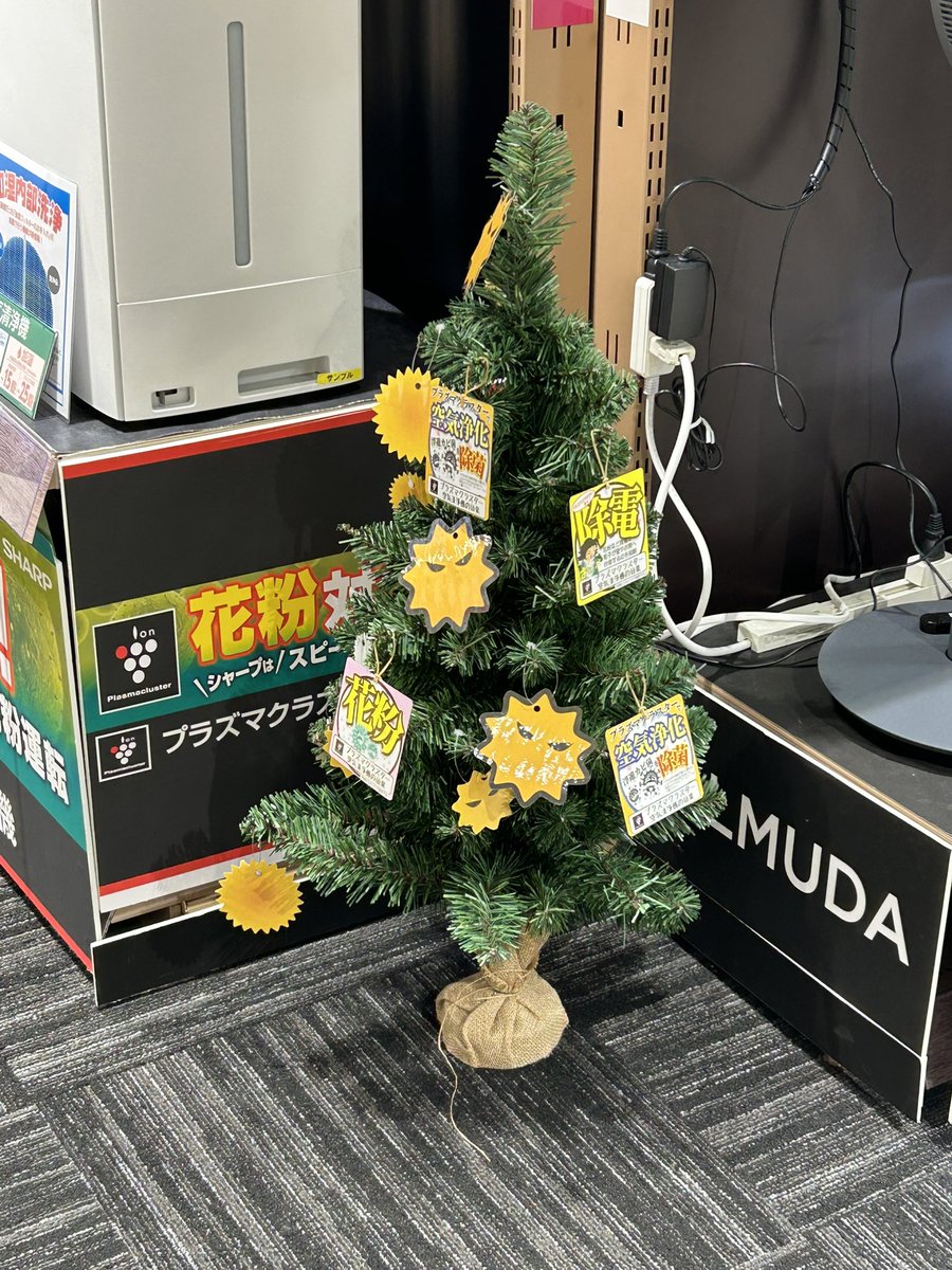 おまえ…クリスマスツリー？クリスマスツリーじゃないのか！？