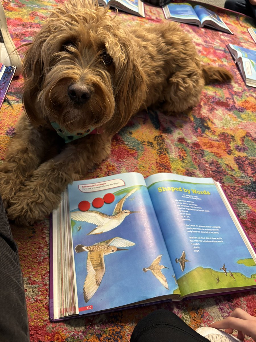 Mrs_Prueter's tweet photo. Ellie days are the best!! @RStar512 https://t.co/FPemZUo3Yt