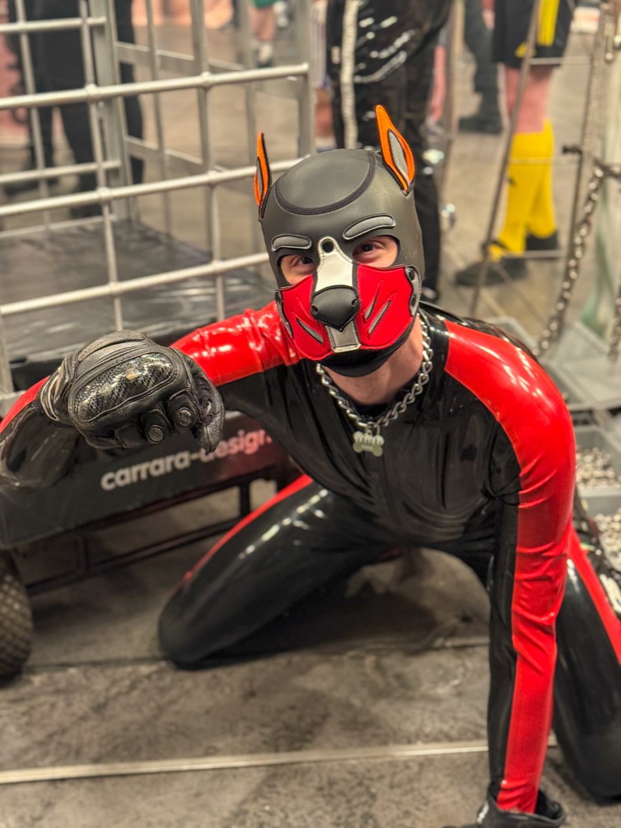 Head Rubs Needed!

#Darklands 2025 -Day 2 (Friday)