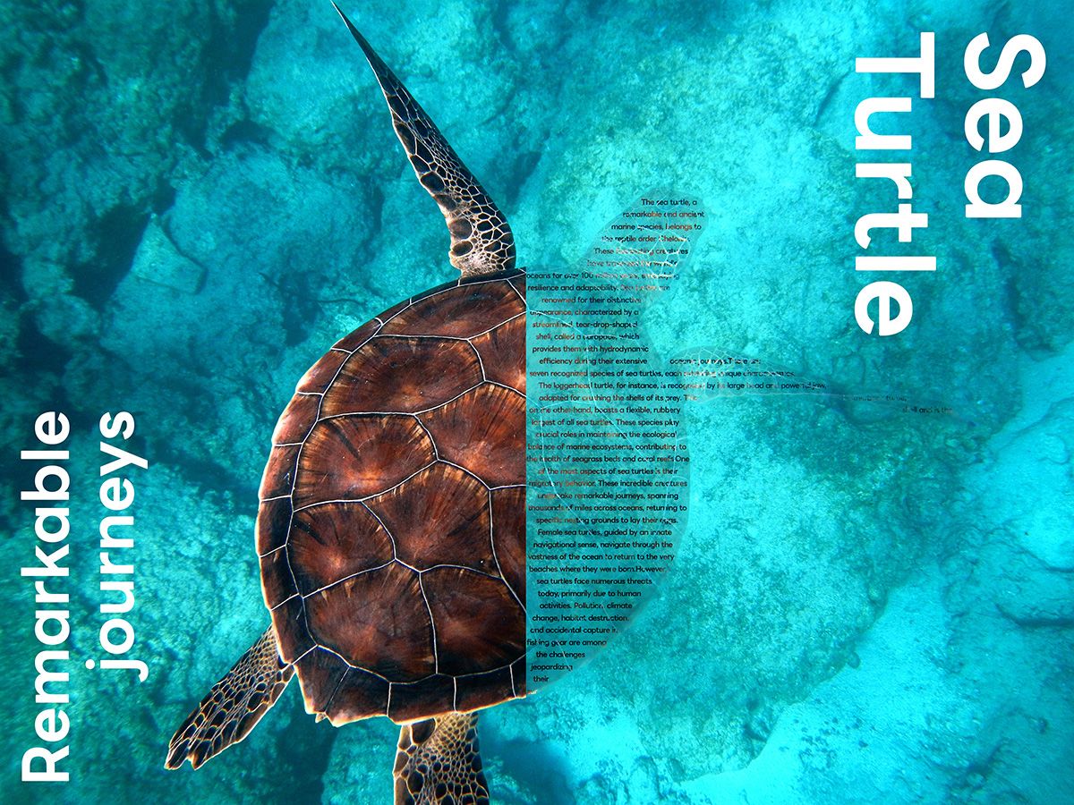 hisui_web1711's tweet image. 今日は #忍者CODE のWeb制作＆デザインコースで、STEP6「【演習】アートポスターを作成してみよう_2」を学習しました！

できた！👩‍🎨

#ヒスイのWebデザイン学習メモ
#Web制作 #Webデザイン
#副業 #フリーランス