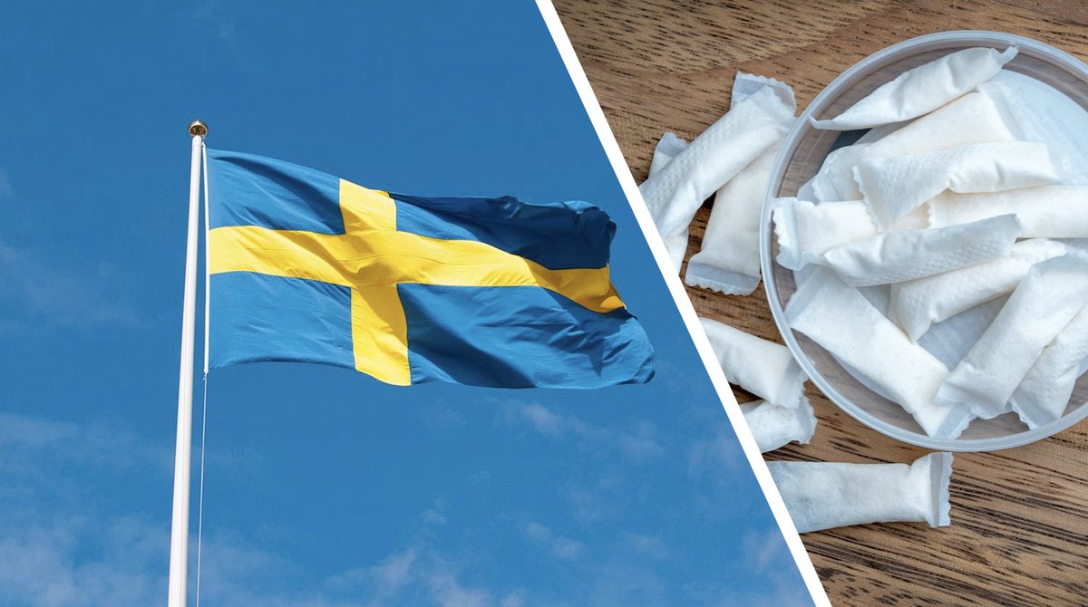 snusforum's tweet image. Sweden's success in nicotine pouch regulations: lessons for the EU snusforumet.se/en/swedens-suc…