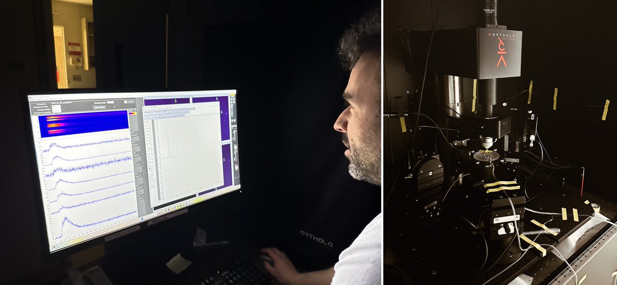 Lee O Vaasjo, PhD (@lvaasjo) on Twitter photo We had a super productive week at the 2-Photon + Ephys Rig! Excellent teamwork in the <a href="/chamberlandlab/">Chamberland Lab</a> . Thanks, <a href="/KarthalaSystem/">karthala system</a> for the smooth sailing. We had a super productive week at the 2-Photon + Ephys Rig! Excellent teamwork in the <a href="/chamberlandlab/">Chamberland Lab</a> . Thanks, <a href="/KarthalaSystem/">karthala system</a> for the smooth sailing.