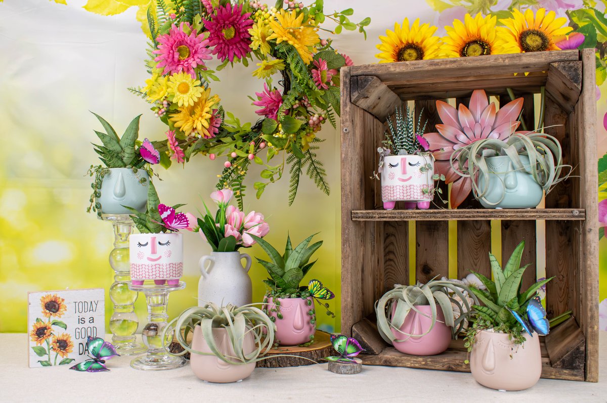 Colasanti_Ltd's tweet photo. Our Rosie and Sleepy Face Pots are perfect for Spring! 🌷🌸

#SpringIsComing #WholesalePlants #SpringArrangements #BloomingSeason #FreshForSpring #HouseplantJoy #GreenThumb #SeasonalDecor #Colasantifarms #Colasantifarmsltd #wholesaleplants https://t.co/qROexuJapM