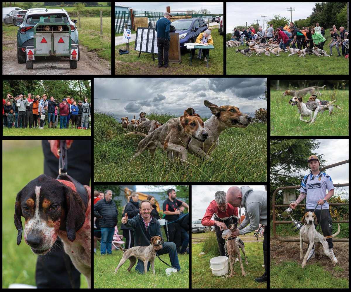 Winner Country Life Award - AUTHORITY TRIUMPHS AT WATERGRASSHILL INTERNATIONAL DRAGHUNT - Dan Linehan Irish Examiner <a href="/lensdan/">Dan Linehan</a> <a href="/irishexaminer/">Irish Examiner</a> #pressphotographers
