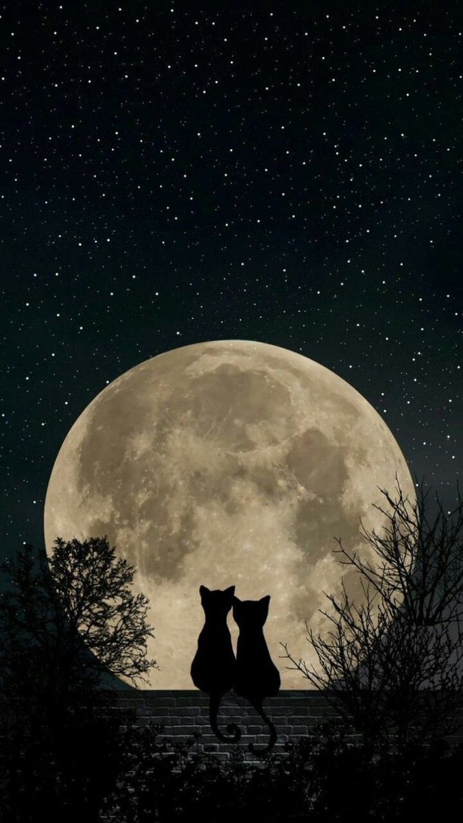 MOON LOVER (@m1onlover) on Twitter photo 