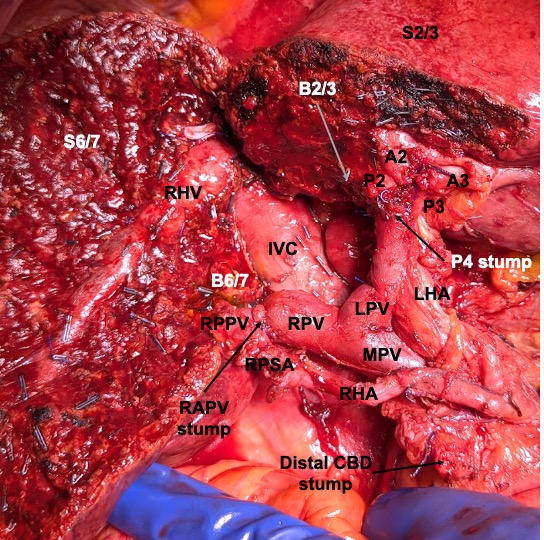 Chris Nahm tweet media