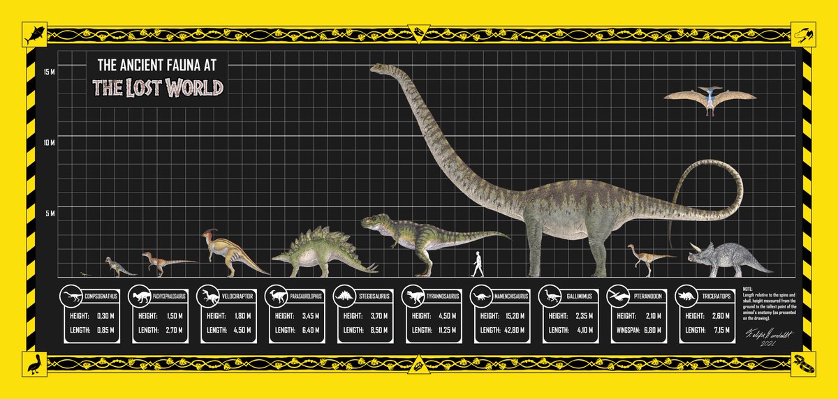 Felipe Humboldt 🦕 tweet media