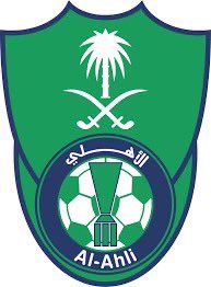 _xsoyi's tweet photo. الحكمه اللي استفدناها الليله 
لا تامن نادي صعد من دوري يلو https://t.co/JVF84TbFbx