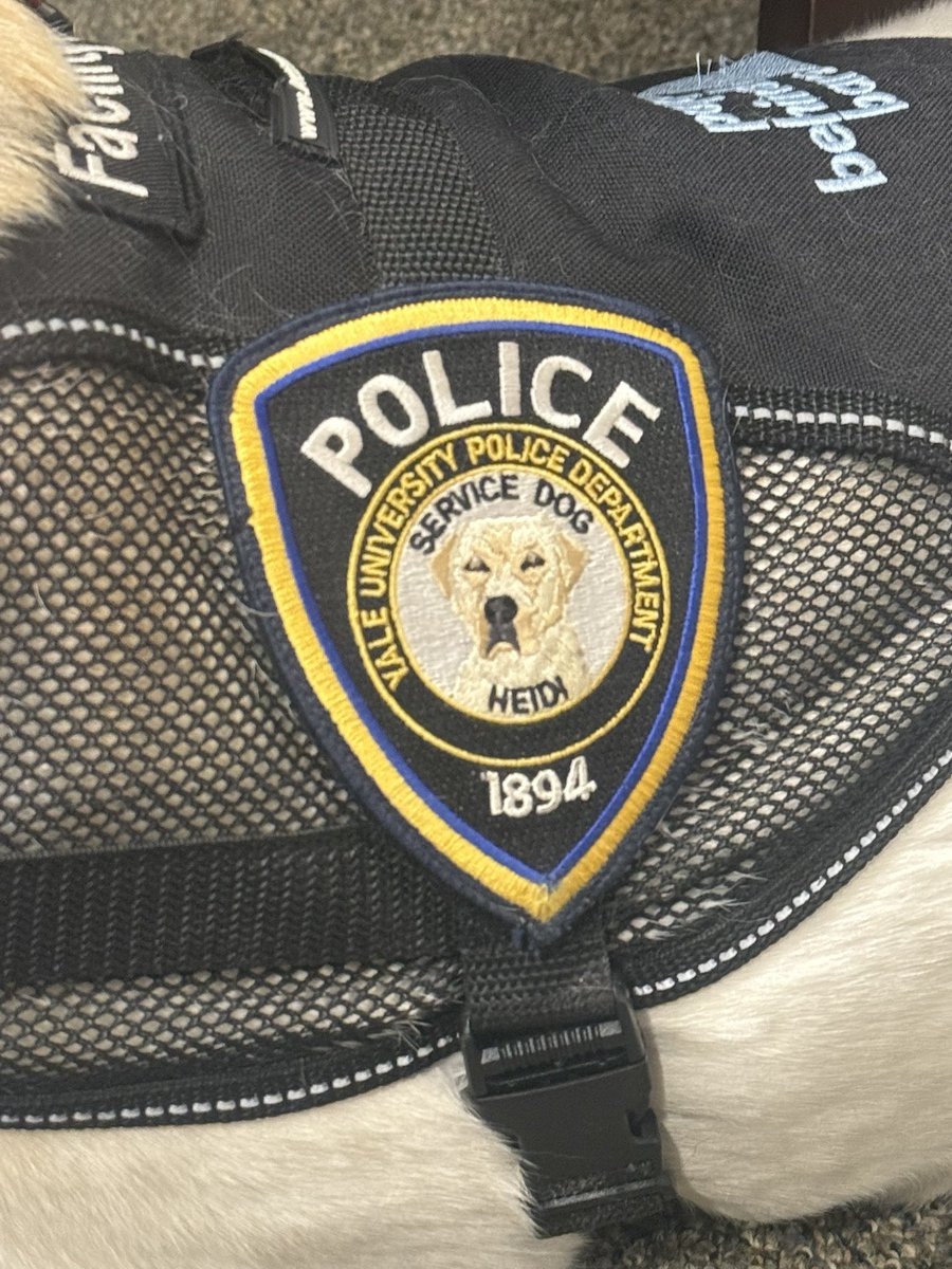 Yale Nephrology tweet media