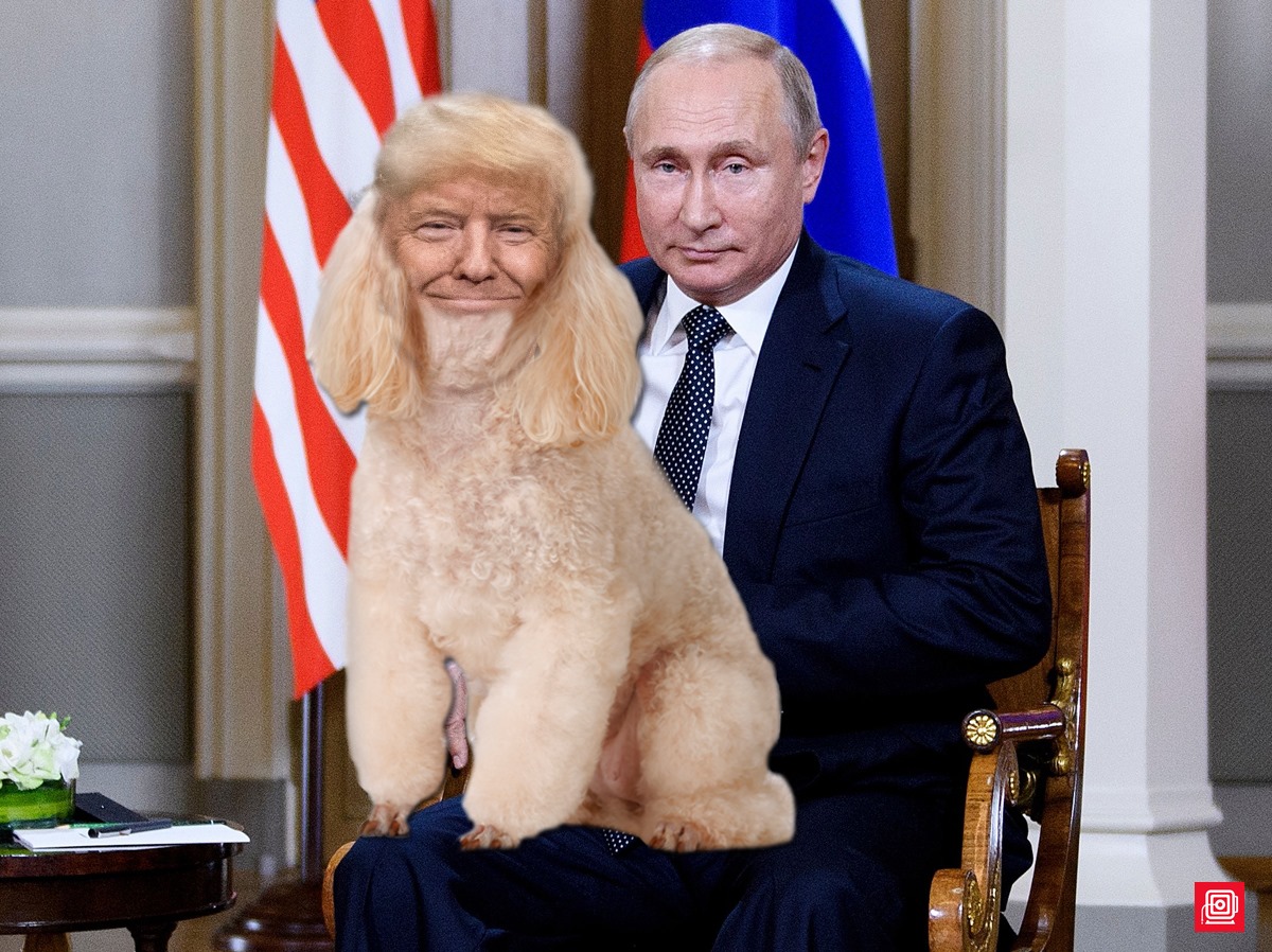 Trump doesn't have to support Ukraine a penny, that's fine! The only problem is that Trump stands with Putin, slandering "Ukraine started the war" and "Zelensky is a dictator". As a Chinese Puritan, I think Trump's words and deeds have brought great shame to the United States!