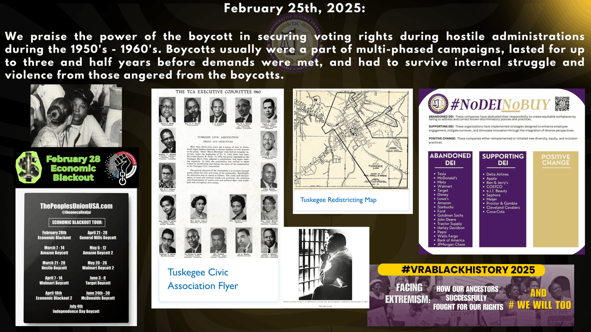 Protecting Americas Vote: Our March to Vote tweet media