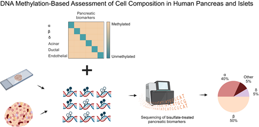 Diabetes, a research journal of the ADA 🧪 (@diabetes_ada) on Twitter photo ⭐️Best of #DiabetesADA2024⭐️ | #05 ALTMETRIC
DNA Methylation–Based Assessment of Cell Composition in Human Pancreas and Islets
-Zeina Drawshy et al.
doi.org/10.2337/db23-0…
<a href="/ADA_Pubs/">ADA Professional Publications</a> ⭐️Best of #DiabetesADA2024⭐️ | #05 ALTMETRIC
DNA Methylation–Based Assessment of Cell Composition in Human Pancreas and Islets
-Zeina Drawshy et al.
doi.org/10.2337/db23-0…
<a href="/ADA_Pubs/">ADA Professional Publications</a>