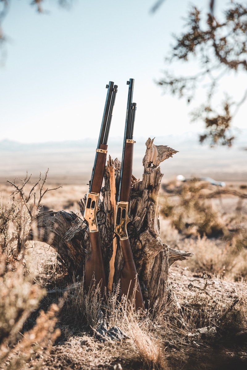 If you could only choose one - .357 Mag/.38 SPL or .45-70 Gov’t? 💬

#HenryUSA