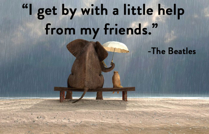 Has anyone seen a Series 2 1/1 Innovative Impala pulled yet?