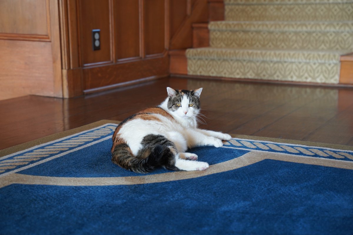 It's Women's History Month! I'm celebrating all the ameowzing Kansas women — myself and mom <a href="/LauraKellyKS/">Laura Kelly</a> included.