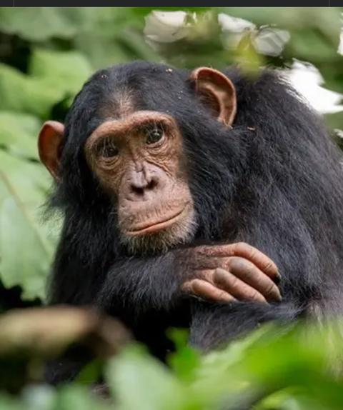 UN Development tweet media