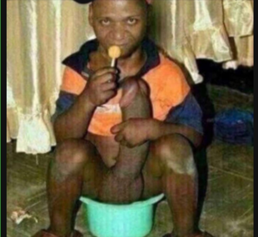 allidini tweet media