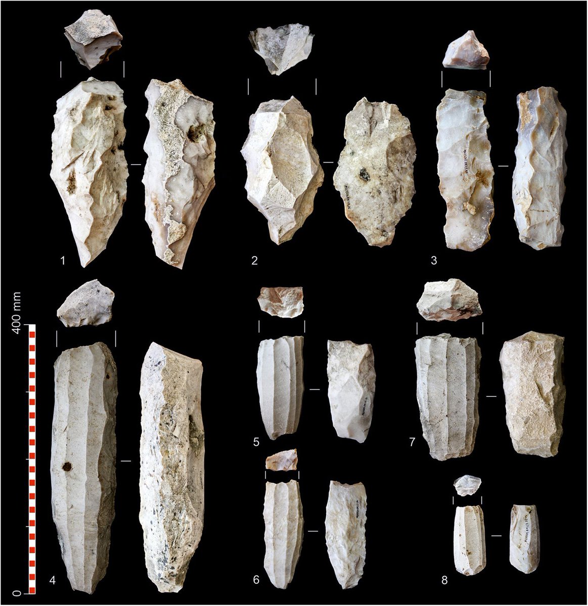 🅰ntiquity Journal (@antiquityj) on Twitter photo Flint blade cores at different stages of production, from two prehistoric sites in the Tajuña River Valley, central Iberia. They were uncovered from quarries, suggesting people were extracting and working the flint in the same locations #FlintFriday
🆓 doi.org/10.15184/aqy.2… Flint blade cores at different stages of production, from two prehistoric sites in the Tajuña River Valley, central Iberia. They were uncovered from quarries, suggesting people were extracting and working the flint in the same locations #FlintFriday
🆓 doi.org/10.15184/aqy.2…