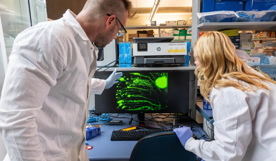 Scientists at @UBCmedicine just uncovered a crucial piece of the puzzle as to how memory works. 🧩 

They discovered a new type of brain cell, 'ovoid cells', that play a central role in our ability to remember and recognize objects. 

🧠 bit.ly/3EUSIdY