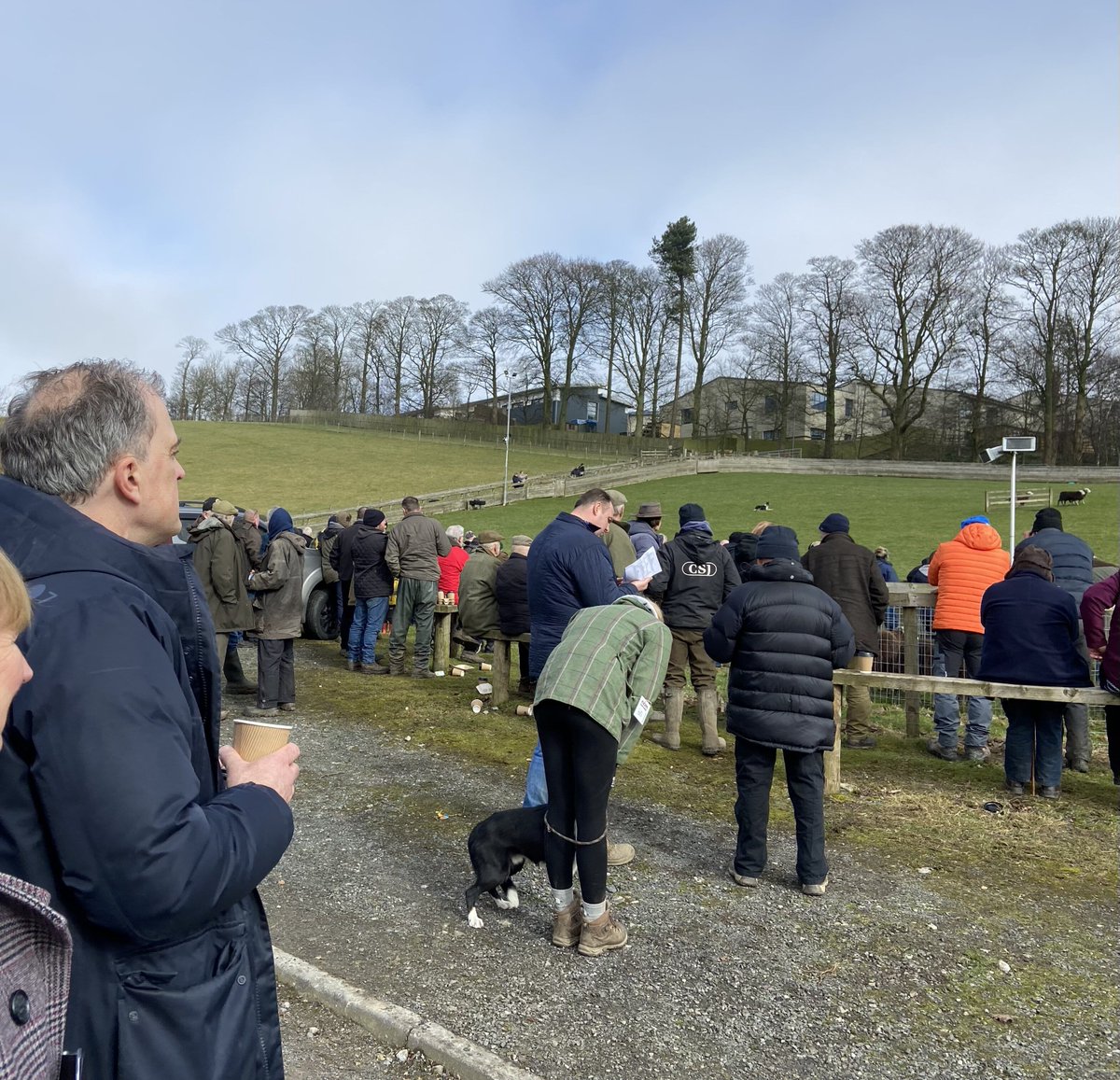 ☀️Great to drop by the Craven Auction Mart's working sheep dog sale today following my visit to <a href="/cravencollege/">Craven College</a>'s  Auction Mart Campus. There were some incredible dogs which fetched very high prices.

#Skipton #Craven