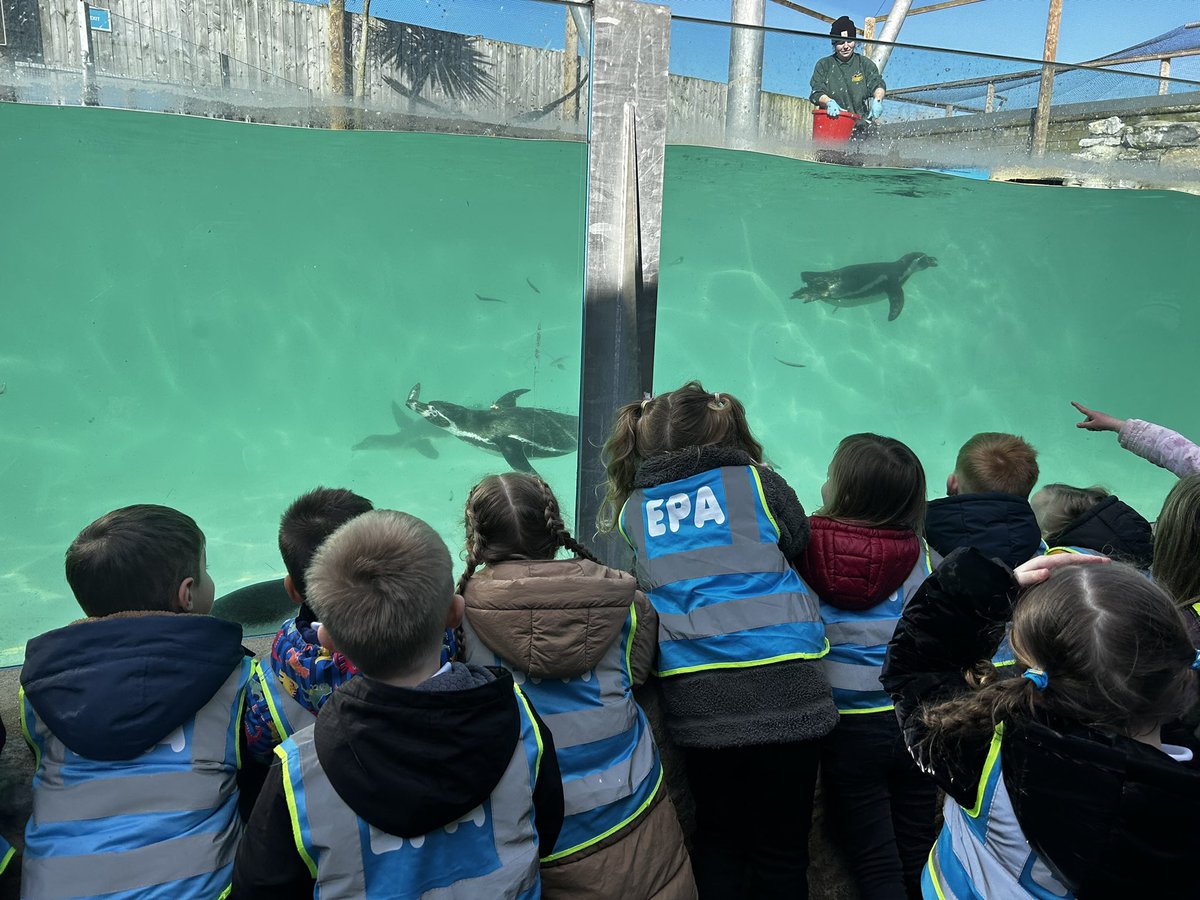 EPA - Reception tweet media