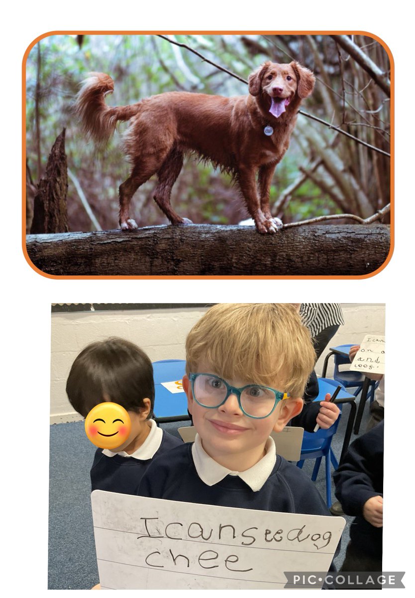 middlethorpe2's tweet photo. Super independent writing this week. Using phonetic knowledge, full stops and capital letters! #middlethorpeR #middlethorpeprinary #middlethorpeenglish https://t.co/0VGWZwqzbz