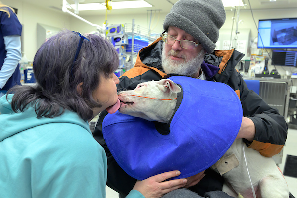 WSUvetmed's tweet image. A puppy rescued from a house fire last week is back with its family and expected to make a full recovery after days fighting to live on a ventilator at #WSUVetMed.  

news.wsu.edu/news/2025/02/2…