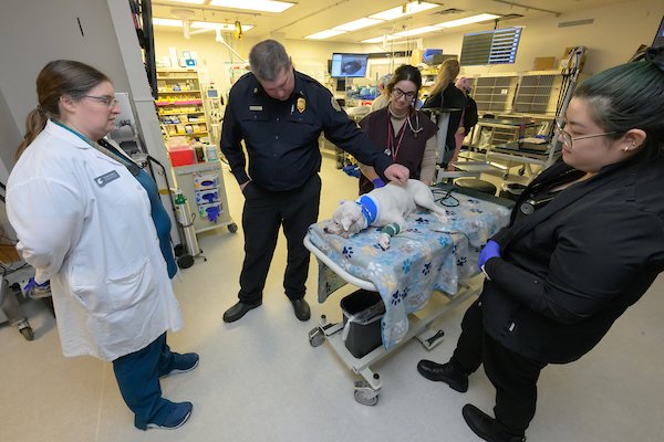 WSUvetmed's tweet image. A puppy rescued from a house fire last week is back with its family and expected to make a full recovery after days fighting to live on a ventilator at #WSUVetMed.  

news.wsu.edu/news/2025/02/2…