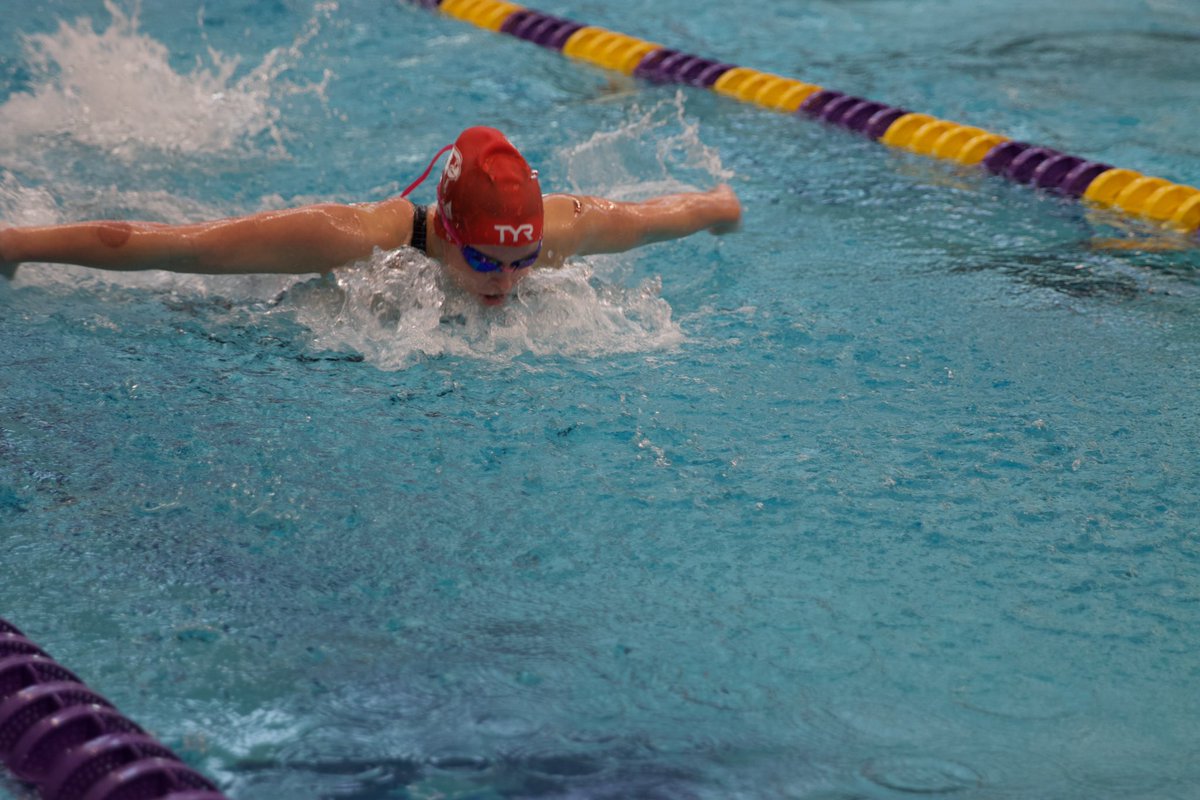 400-IM Action for the Birds!