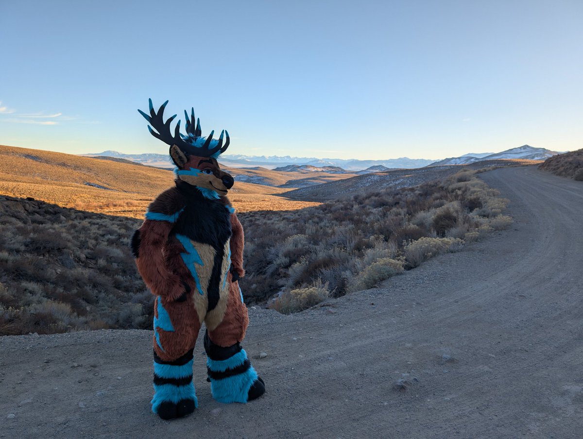 Happy #FursuitFriday from the Eastern Sierra Nevadas!

🪡:<a href="/BNCreation/">BNCreation</a>