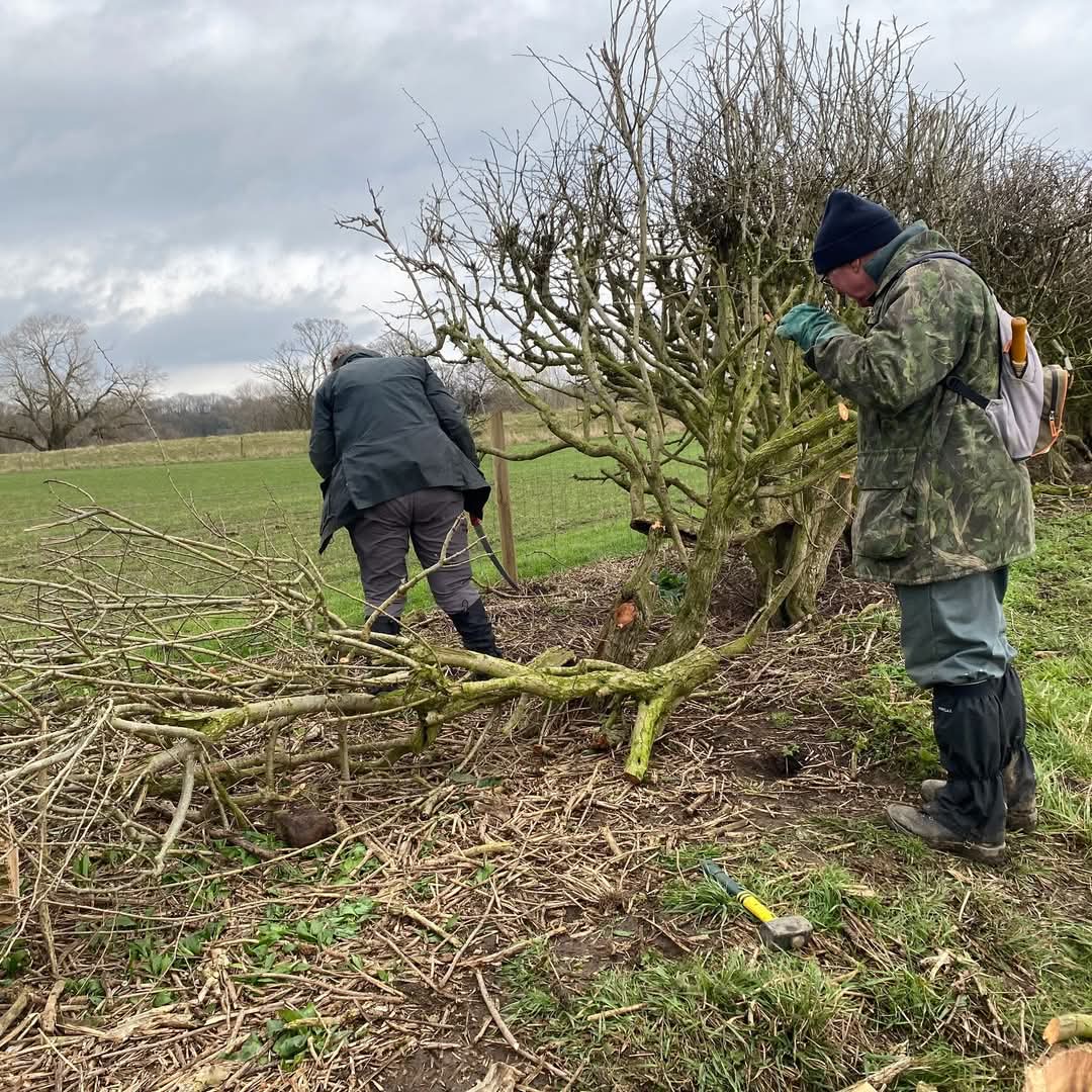 teesriverstrust's tweet photo. We also removed an elder tree to prevent it choking the hedge and to give other plants the chance to flourish 🌱
Thank you to everyone for their hard work - this kind of collaboration between volunteers, communities, farmers, and landowners helps protect our local landscapes 💪💚 https://t.co/op4fmOZL0C