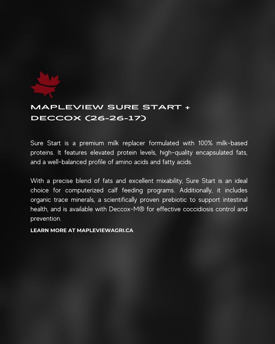 Give your calves a sure start in life with Mapleview Sure Start 💥#milkreplacer