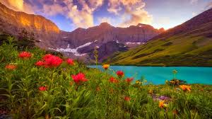 Nzli23 (@nzli23) on Twitter photo #AmigosD
<a href="/S2_CarlaS2/">꧁༺Carla༻꧂#EliFriends━★✼☆</a>
<a href="/AliAkberMehdi/">Ali Akber Mehdi</a>
<a href="/ranasilvia63/">Luna OM</a>
<a href="/ChaAli50/">چنگیزعلی خان</a>
<a href="/majd9757/">M</a>
<a href="/ElBlondyRD/">DOMINGO MEJIA</a>
<a href="/FIRSTGODISLOVE/">🌿⏳JESUS👑#1FIRST💯</a>
🌹<a href="/miarianmoreno/">MIRIAN_RD🇩🇴 #LoveDMami ❤AmigosD❤</a>
<a href="/Lea_Dhai/">🐥𝒫𝓇𝒾𝓃𝒸𝑒𝓈𝓈 ℒ𝑒𝒶𝒽 ⭕️130 K👑</a>
<a href="/Ines1466/">🌟🌊Estrella De Mar 🌊🌟🌊</a>
<a href="/7Keendo/">🦅ӄɛɛռɖօ</a>
<a href="/nbea_h/">#𝕾𝖚𝖕𝖊𝖗𝕱𝖗𝖎𝖊𝖓𝖉𝖘 #𝕿𝖔𝖕𝕱𝖗𝖎𝖊𝖓𝖉𝖘</a>
<a href="/vinaymishra1961/">VINAY</a>
<a href="/BrendaBelemS/">Brenda Belem S</a>
<a href="/Alana__28/">#AmigosD❤ #LoveDmami</a>
<a href="/r95731/">💓 s a R a v 💓 🇮🇳मेरा भारत महान🇮🇳 🥰100 K+🥰</a>
<a href="/mvf7186/">#TmSofia</a>
<a href="/f_a_r_a_h_9/">🅵Ⓐ🆁Ⓐ🅷 🅶Ⓐ🅸Ⓝ🆂 🤍🤍</a>
<a href="/my_auroraz/">aurora</a>
<a href="/kn_jui/">Bakht Zada🇵🇰f💯</a>
<a href="/Nzli23/">Nzli23</a>
<a href="/Pagla05/">Pagla</a>
<a href="/mamiRD_/">🇩🇴mamiRD_ #LoveDeMami❤ AmigosDe❤</a>
<a href="/Da__Eliz/">Eli👸</a> #AmigosD
<a href="/S2_CarlaS2/">꧁༺Carla༻꧂#EliFriends━★✼☆</a>
<a href="/AliAkberMehdi/">Ali Akber Mehdi</a>
<a href="/ranasilvia63/">Luna OM</a>
<a href="/ChaAli50/">چنگیزعلی خان</a>
<a href="/majd9757/">M</a>
<a href="/ElBlondyRD/">DOMINGO MEJIA</a>
<a href="/FIRSTGODISLOVE/">🌿⏳JESUS👑#1FIRST💯</a>
🌹<a href="/miarianmoreno/">MIRIAN_RD🇩🇴 #LoveDMami ❤AmigosD❤</a>
<a href="/Lea_Dhai/">🐥𝒫𝓇𝒾𝓃𝒸𝑒𝓈𝓈 ℒ𝑒𝒶𝒽 ⭕️130 K👑</a>
<a href="/Ines1466/">🌟🌊Estrella De Mar 🌊🌟🌊</a>
<a href="/7Keendo/">🦅ӄɛɛռɖօ</a>
<a href="/nbea_h/">#𝕾𝖚𝖕𝖊𝖗𝕱𝖗𝖎𝖊𝖓𝖉𝖘 #𝕿𝖔𝖕𝕱𝖗𝖎𝖊𝖓𝖉𝖘</a>
<a href="/vinaymishra1961/">VINAY</a>
<a href="/BrendaBelemS/">Brenda Belem S</a>
<a href="/Alana__28/">#AmigosD❤ #LoveDmami</a>
<a href="/r95731/">💓 s a R a v 💓 🇮🇳मेरा भारत महान🇮🇳 🥰100 K+🥰</a>
<a href="/mvf7186/">#TmSofia</a>
<a href="/f_a_r_a_h_9/">🅵Ⓐ🆁Ⓐ🅷 🅶Ⓐ🅸Ⓝ🆂 🤍🤍</a>
<a href="/my_auroraz/">aurora</a>
<a href="/kn_jui/">Bakht Zada🇵🇰f💯</a>
<a href="/Nzli23/">Nzli23</a>
<a href="/Pagla05/">Pagla</a>
<a href="/mamiRD_/">🇩🇴mamiRD_ #LoveDeMami❤ AmigosDe❤</a>
<a href="/Da__Eliz/">Eli👸</a>