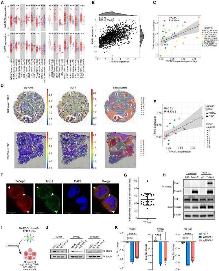 Integrated computational analysis identifies therapeutic targets with dual action in cancer cells and T cells <a href="/ImmunityCP/">Immunity</a> 
cell.com/immunity/fullt…