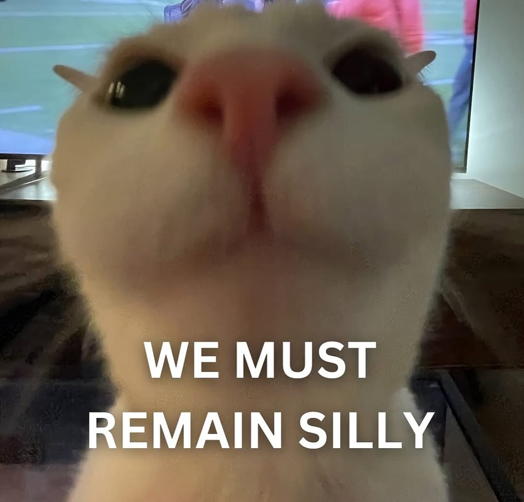 Catsillyness's tweet image. Remain silly