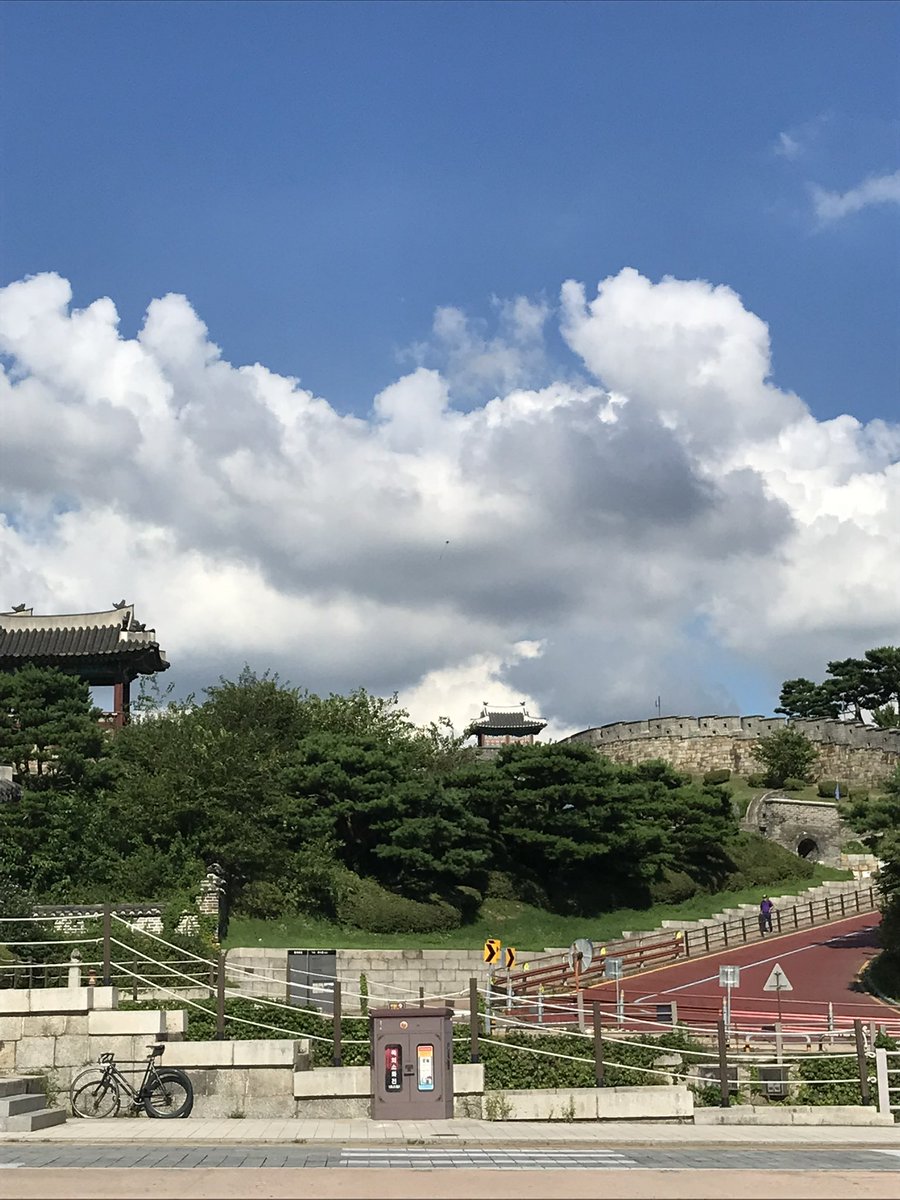 andblankball's tweet photo. 갑자기 수원 땡긴다 ...🌳 https://t.co/GtsS1DYzEX