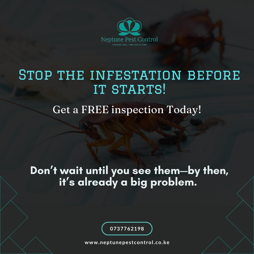 NeptunePest's tweet photo. 🐜 Pests don’t pay rent—so why let them stay? 🚫🏡
Take control before they do! Book a FREE inspection today and keep your space pest-free.
📞 0737762198 |
🌍 https://t.co/QlPuMXrx6d
#PestFreeLife #NeptunePestControl #NoMoreBugs #BugFreeHome #FreeInspection Karen Nyamu https://t.co/apDM9f2A0L